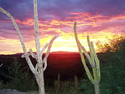 Sonnenuntergang in Mexiko